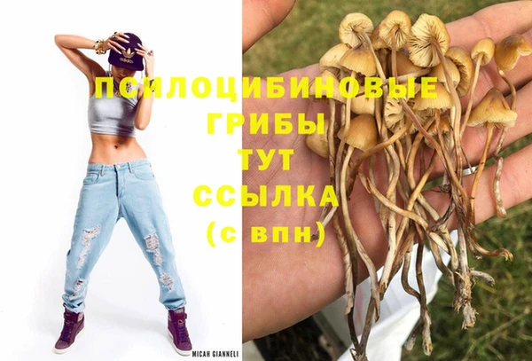 прущая мука Осташков
