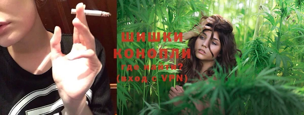 крисы Пестово