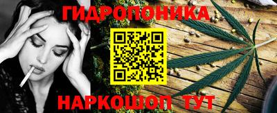 дмт Волжск