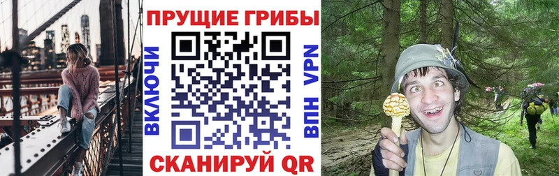 цена наркотик  Зеленогорск  Галлюциногенные грибы MAGIC MUSHROOMS 