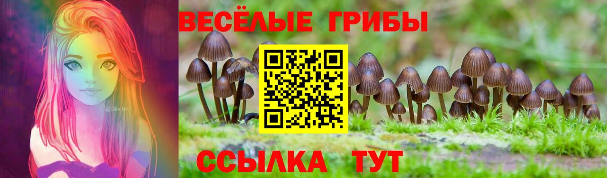 Псилоцибиновые грибы MAGIC MUSHROOMS Зеленогорск